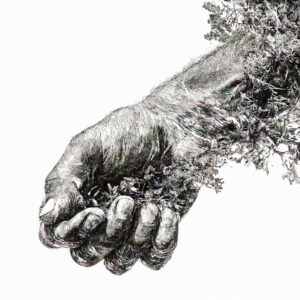 Nous-sommes-la-terre