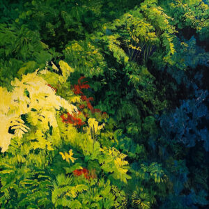 Jungle Intérieure 4